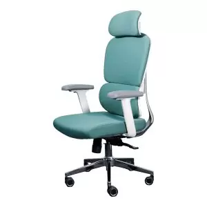 CircleBox Cloud Chair in Green – Elegant and Comfortable Chair for Home & Office