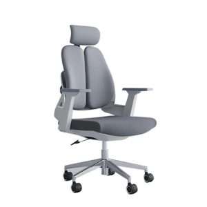 CircleBox Duo Comfort Chair