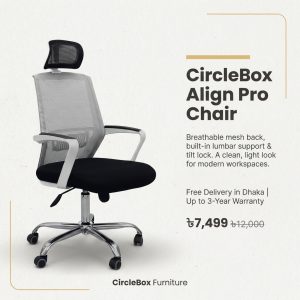 CircleBox Align Pro Chair, ergonomic mesh chair, headrest, tilt