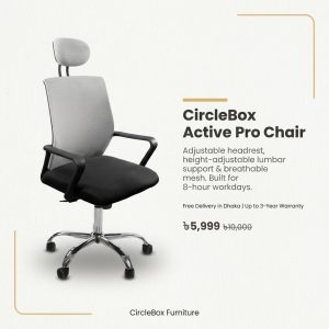 CircleBox Active Pro Chair, ergonomic mesh chair, headrest, adjustable lumbar