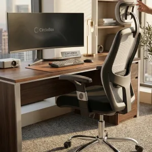 CircleBox Accelerator Chair