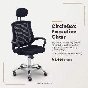 CircleBox Executive Chair, ergonomic mesh chair, high back with headrest